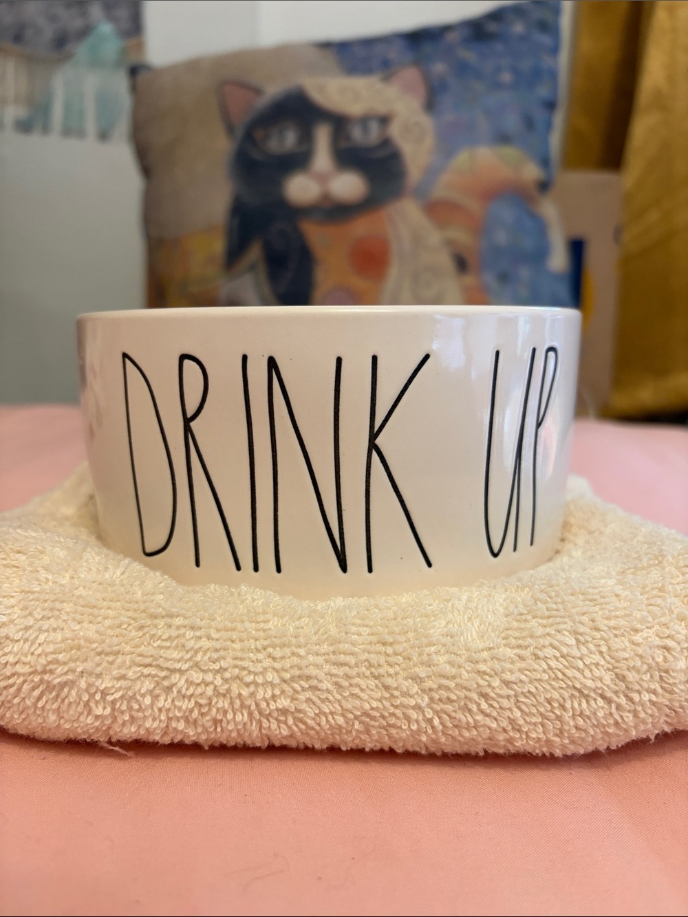 Rae Dunn White Ceramic Pet Bowl with Black 'DRINK UP' Lettering